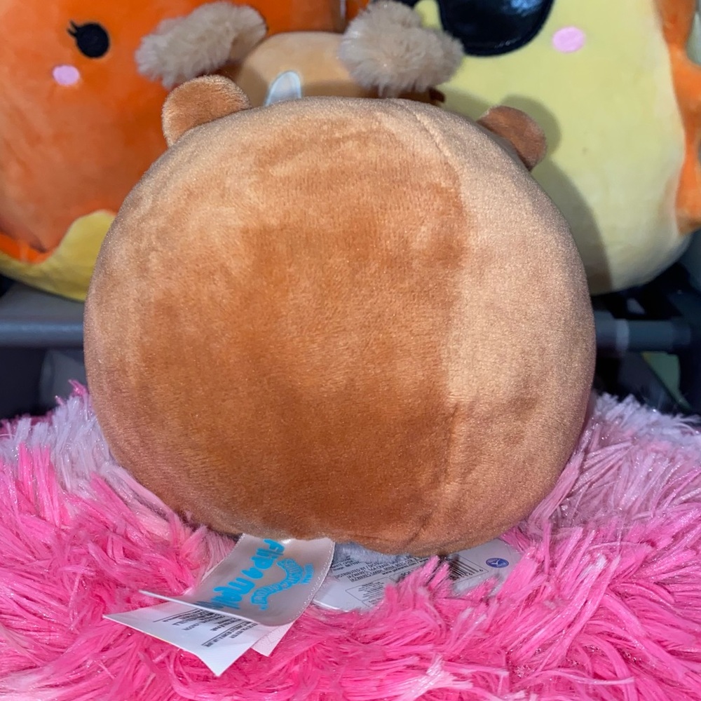 Squishmallows Flip 5” Chip Beaver & Rocky Racoon Flip-A-Mallow - Picture 8 of 9